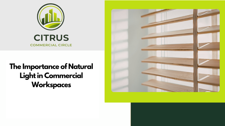 The Importance of Natural Light in Commercial Workspaces