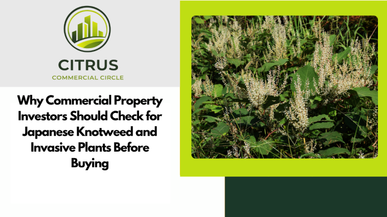 Why Commercial Property Investors Should Check for Japanese Knotweed and Invasive Plants Before Buying